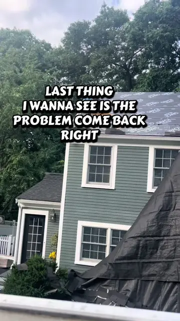 TikTok video: Mold in the attic: why it matters